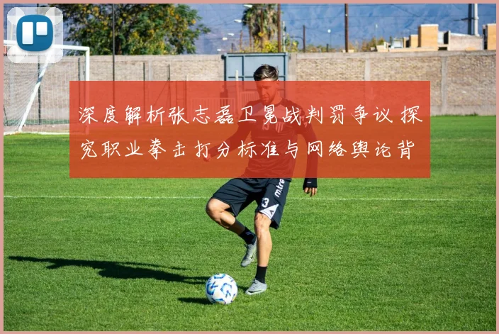 深度解析张志磊卫冕战判罚争议 探究职业拳击打分标准与网络舆论背后的真相