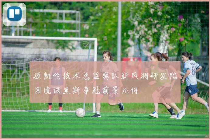 迈凯伦技术总监离队新风洞研发陷困境诺里斯争冠前景几何