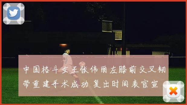 中国格斗女王张伟丽左膝前交叉韧带重建手术成功 复出时间表官宣