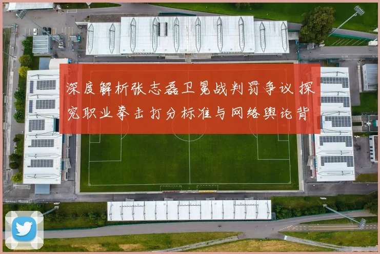 深度解析张志磊卫冕战判罚争议 探究职业拳击打分标准与网络舆论背后的真相